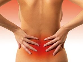 The reason for the spy on the lower back