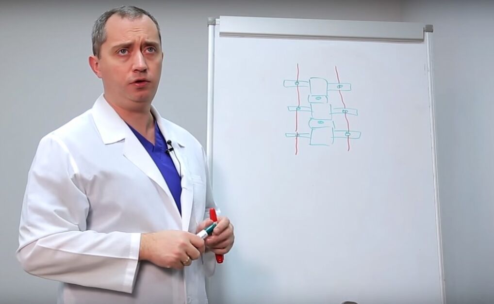 Doctor shows the structure of the spine